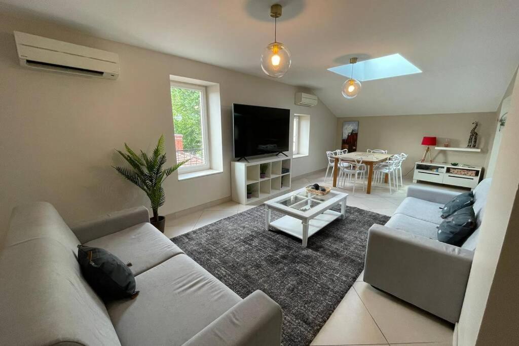 Superbe Appartement Avec 2 Chambres - 9 Personnes - Parking Prive Турнон-сюр-Рон Екстериор снимка
